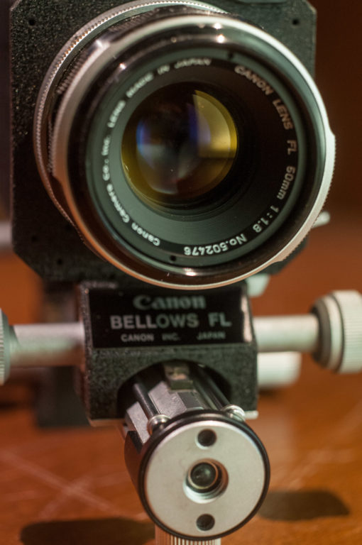 Canon FL bellows with FL 50mm F1.8