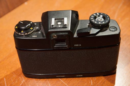 Leica SL2 (50 jahre) + Summicron-R 50mm F2.0
