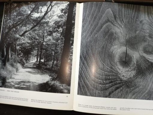 Photography in the modern advertisement - Gordon Stapely / Leonard Sharpe Andre Maurois - Vrouwen van Parijs ( women of paris) E.A. Heininger - masterpieces of Photography - 52 Photos